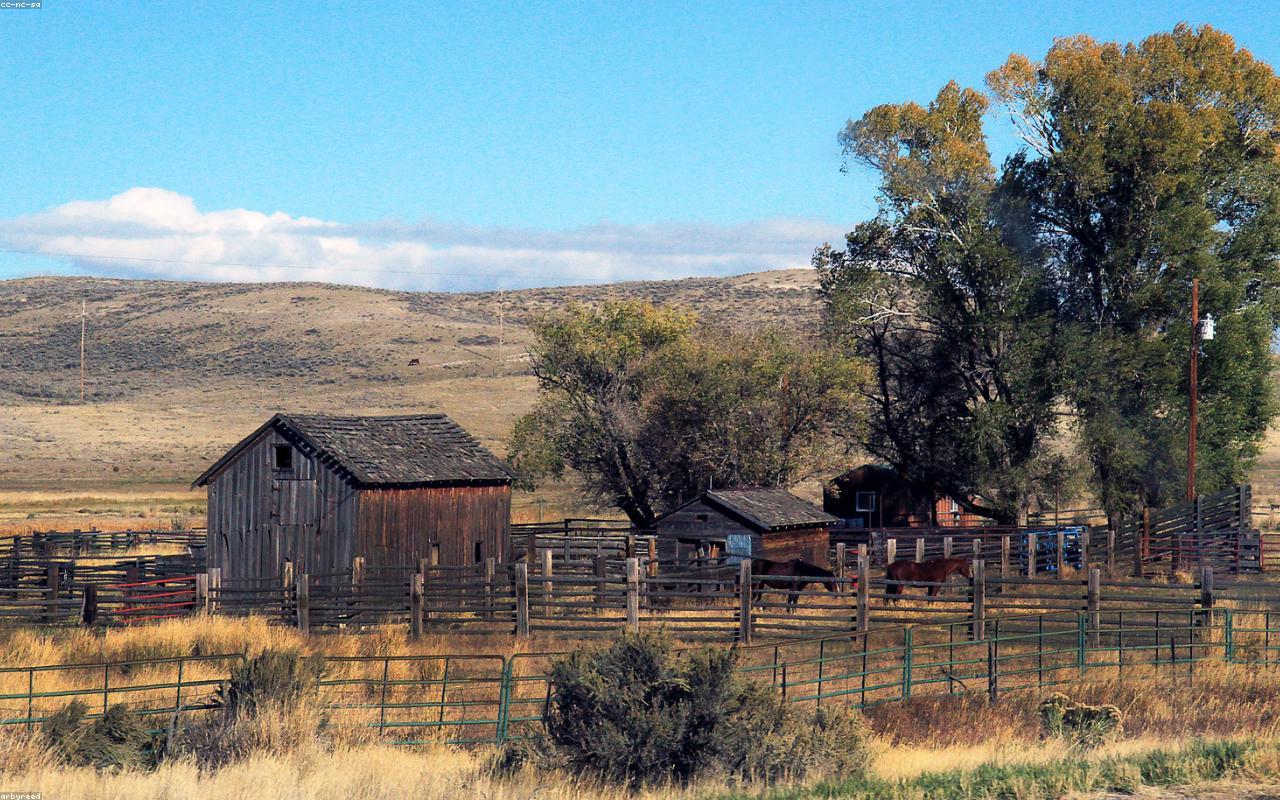 The farm at WF Livestock